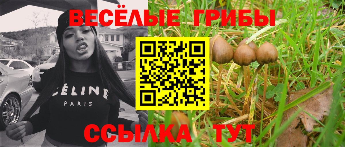 Псилоцибиновые грибы MAGIC MUSHROOMS Сертолово