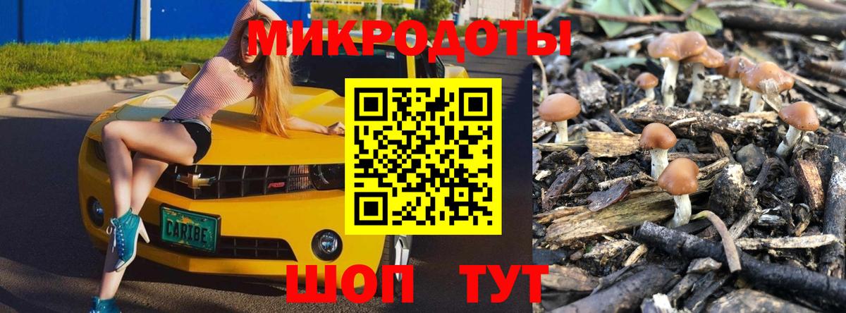 Псилоцибиновые грибы мицелий  Псилоцибиновые грибы мухоморы  Вход с VPN  Сертолово 