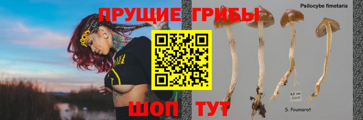 Сертолово  Кокаин  ЭКСТАЗИ  Каннабис  Вход с VPN  Гашиш  Канабис  МЕФ  